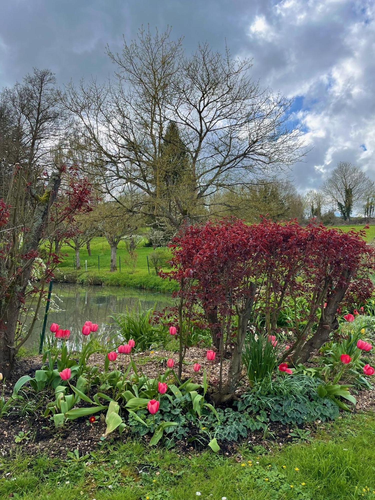 La Petite Campagne Bed & Breakfast Blaru Bagian luar foto